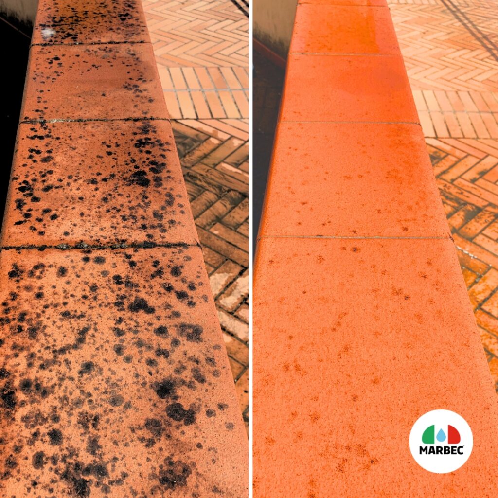 external wall cleaning